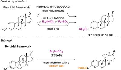 A Sulfuryl Group Transfer Strategy to Selectively Prepare Sulfated Steroids and Isotopically Labelled Derivatives